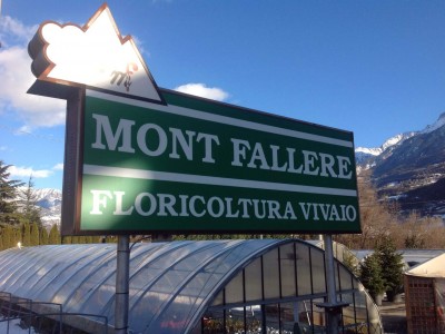 Florovivaismo